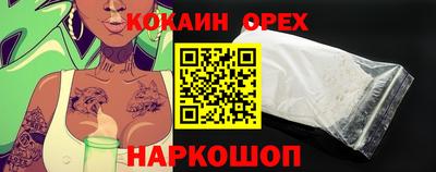 Альфа ПВП Кандалакша