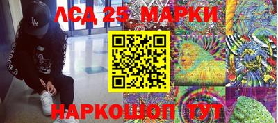 Альфа ПВП Кандалакша