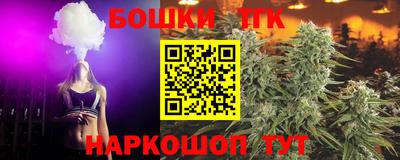 ешки Камышлов