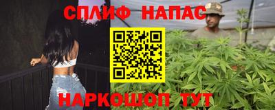 ешки Камышлов