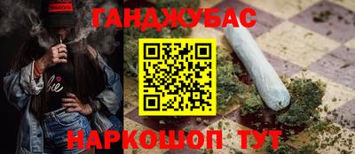 Альфа ПВП Кандалакша
