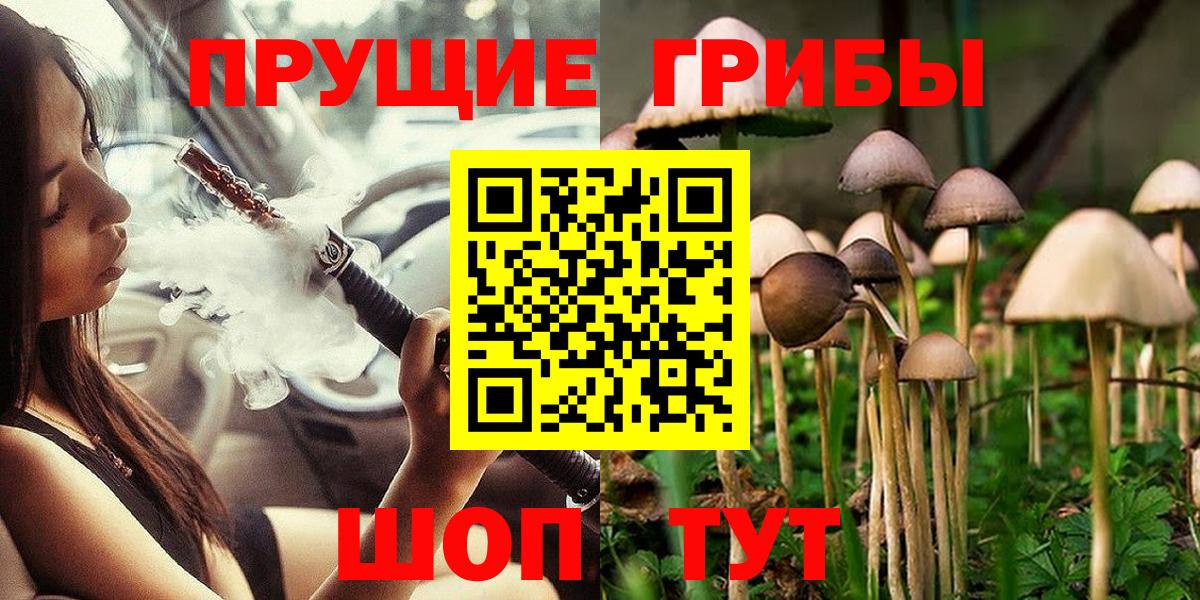 Краснознаменск  Галлюциногенные грибы прущие грибы  Псилоцибиновые грибы Psilocybe  Вход с VPN 